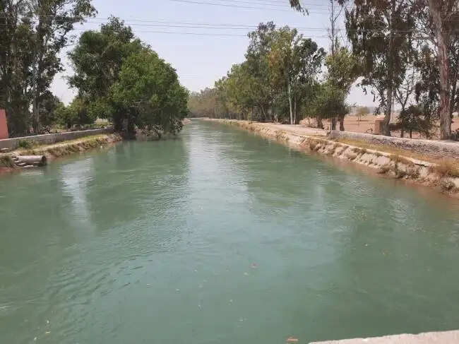 PANIPAT:-  नहर किनारे ठेके पास युवक पी रहा था शराब, पिता को देख नहर में लगाई छलांग,युवक लापता