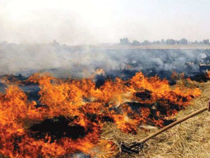 पराली जलाने में Haryana देश में तीसरे स्थान पर, Satellite से जुटाया गया आकंडा