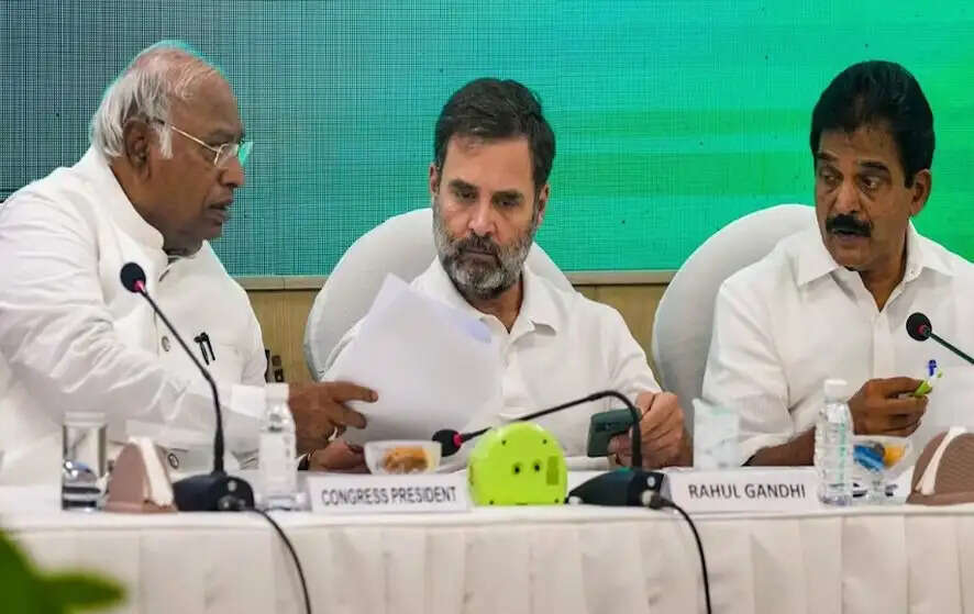 CWC बैठक के बाद राहुल गांधी का ऐलान, इन राज्यों में कांग्रेस कराएगी जातीय जनगणना