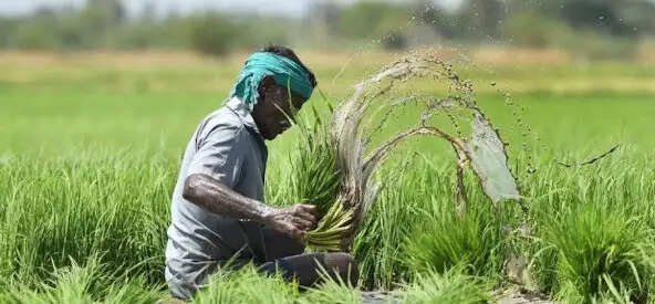 PM FASAL BIMA YOJNA-अगर फसल खराब हुई तो सरकार भरेगी नुकसान
