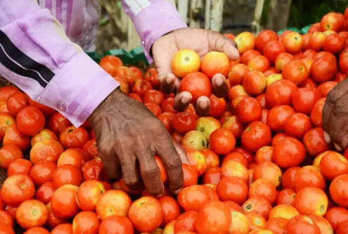 टमाटर ने बिगाड़ा सब्जियों का स्वाद, हुआ इतना महंगा