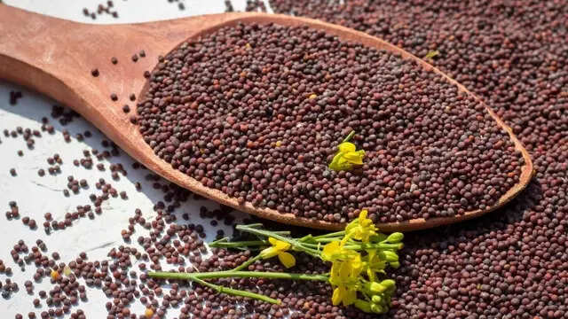 सेहत ही नहीं स्किन के लिए भी बहुत गुणकारी, जानिए सरसों के बीज के फायदे