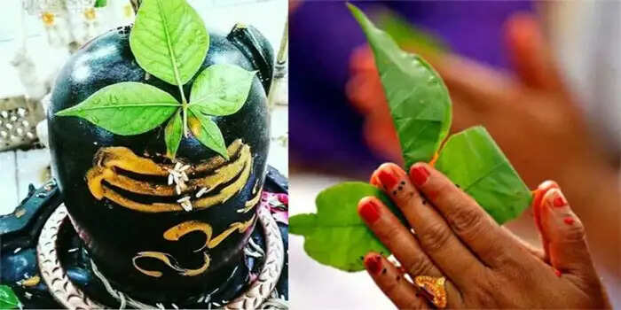 19 साल बाद सावन में बन रहा है ये दुर्लभ संयोग, रक्षाबंधन पर पड़ेगा ये प्रभाव