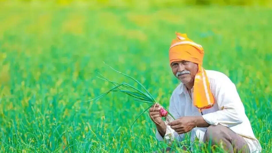 Haryana:- CM सैनी का बड़ा एलान,&nbsp;300&nbsp;करोड़ रुपये की राशि किसानों के खाते में होगी जारी&nbsp;