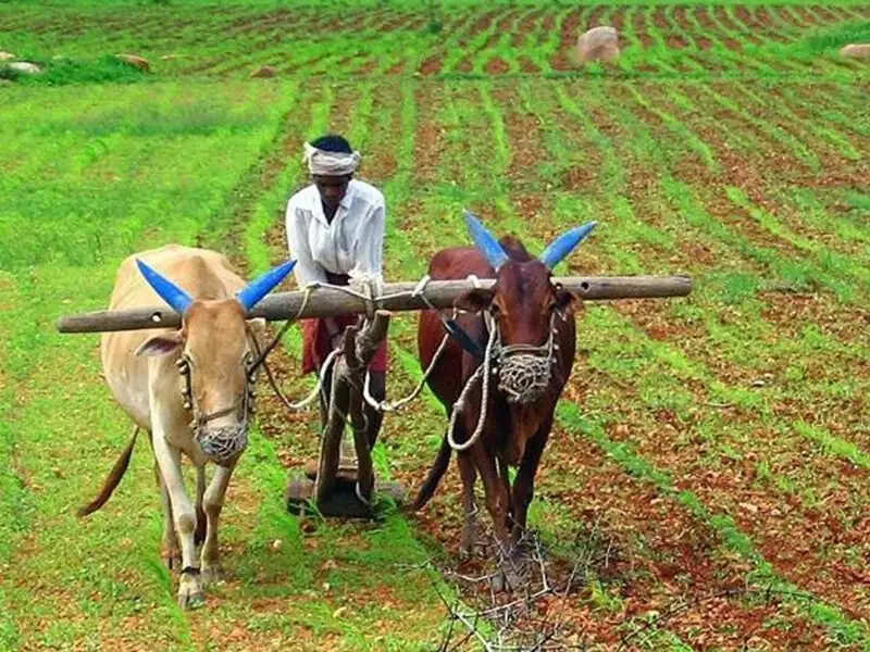 HARYANA में MSP पर फसल बेचने के लिए बदलाव