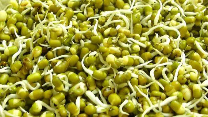वजन घटाना या पाचन में सुधार लाना है तो ये नियम अपनाए