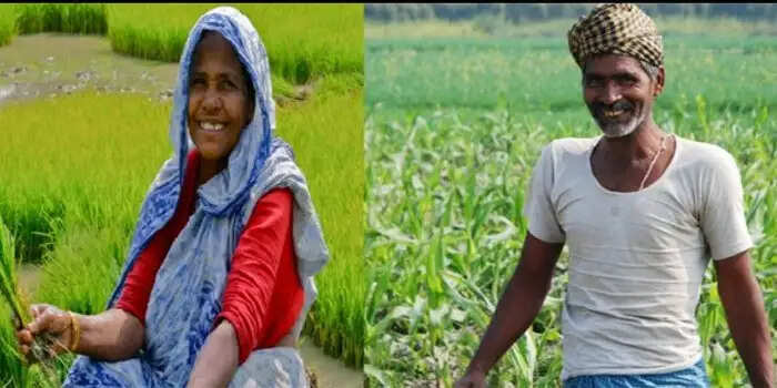 HARYANA सरकार द्वारा ऋण किसानों को मिलेगी राहत, कर्ज माफी योजना पर आई बड़ी खबर