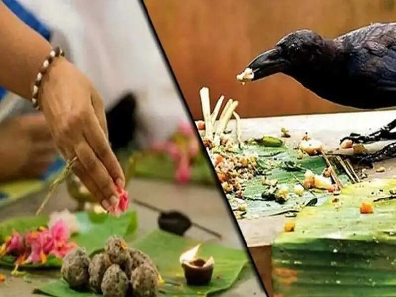 पितृ पक्ष में क्या खरीदना चाहिए क्या नही?
