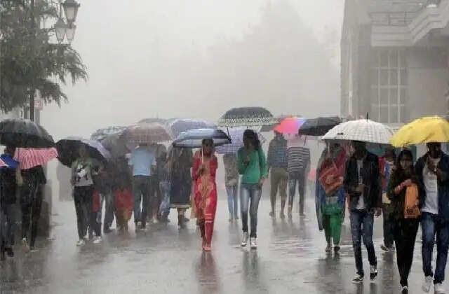 HARYANA में फिर एक्टिव होगा मानसून, 3 जिलों में भारी बारिश