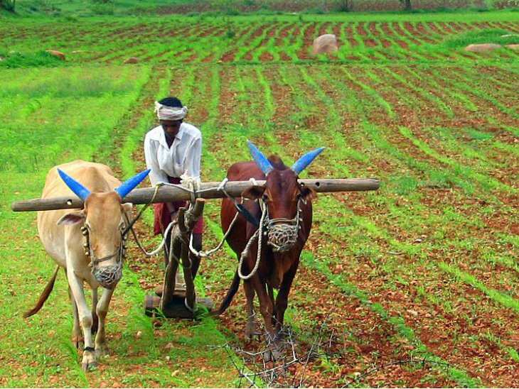 आत्मानिर्भर भारत अभियान के तहत कृषि क्षेत्र के लिए 3170 करोड़ रु. की परियोजनाएं तैयार