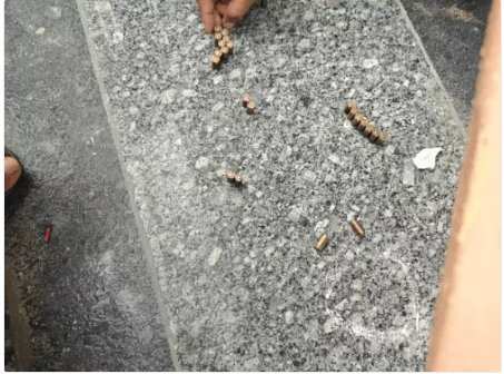 Breaking:- फेमस एल्विश यादव के घर अंधाधुंध फा# यरिंग, बाहर पुलिस बल तैनात