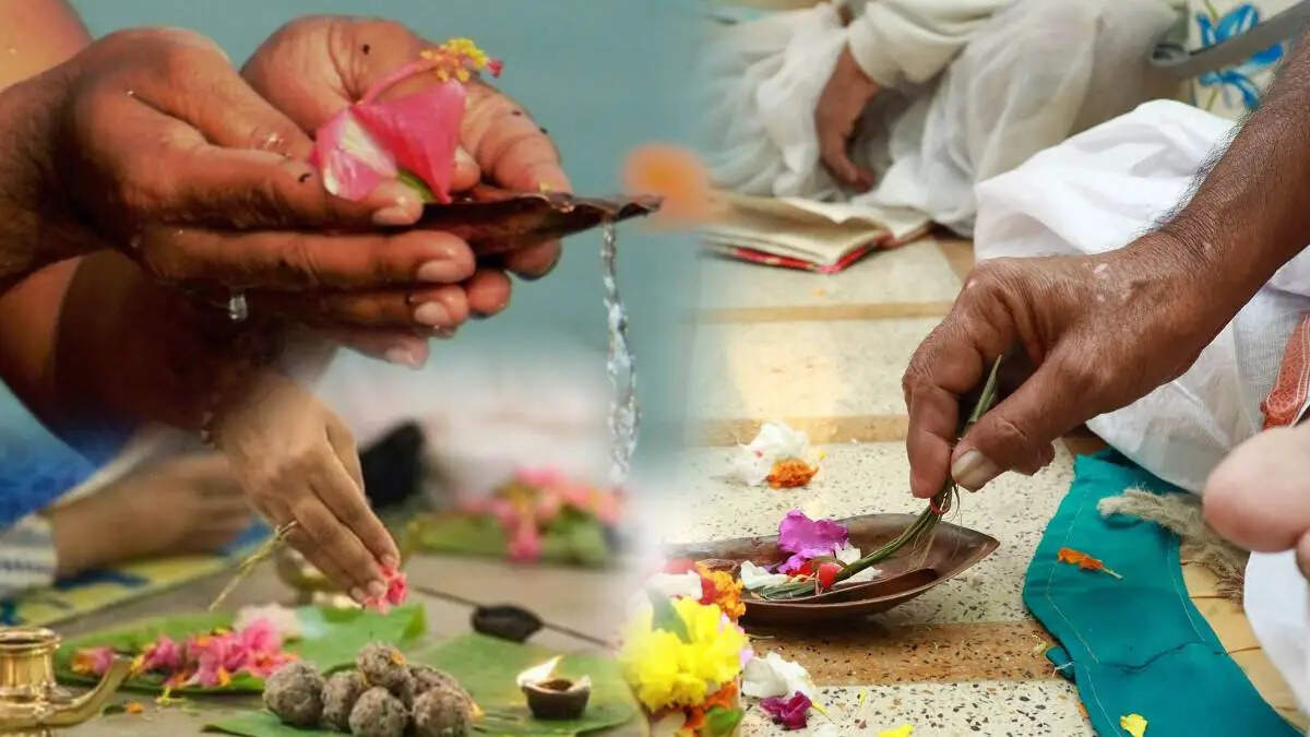 पितृ पक्ष खत्म होने से पहले जरुर करें ये काम, आशीर्वाद देकर जाएंगे पितर!