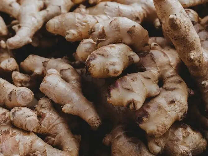अदरक से CANTROL करें वजन, बस इन तरीकों से करें इस्तेमाल