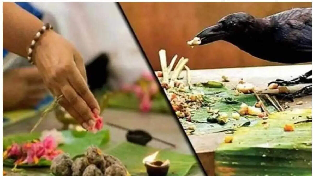 पितृ पक्ष खत्म होने से पहले जरुर करें ये काम, आशीर्वाद देकर जाएंगे पितर!