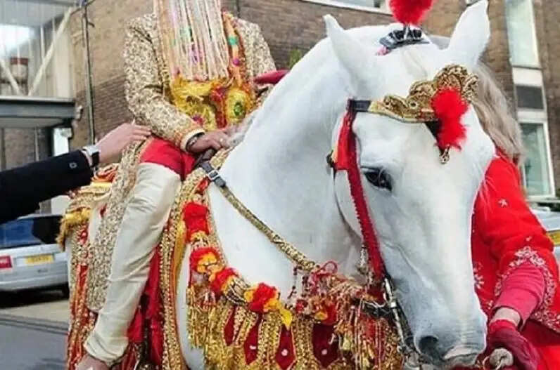 PANIPAT:- शादी के लिए बारात थी तैयार, अचानक दुल्हा हो गया लापता, फिर मंच गई उथल-पुथल