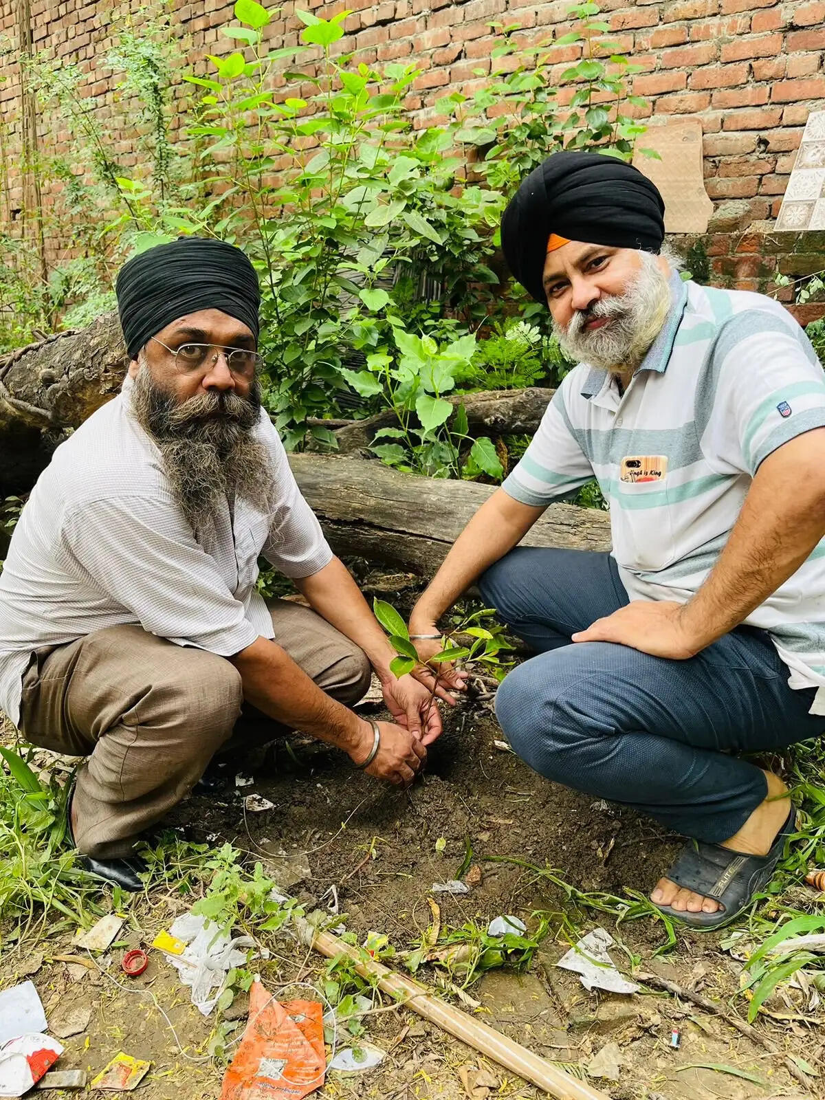 श्री गुरू तेग बहादर सेवा दल व एनआईआरसी के सदस्यो ने लगाए 100 से अधिक पेड़