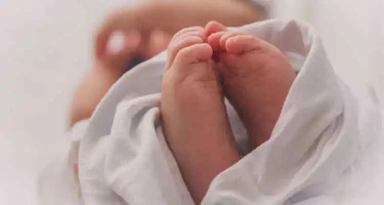 पानीपत में फिर हुई मामता शर्मसार, नाले में मिला मृ*त नवजात शिशु