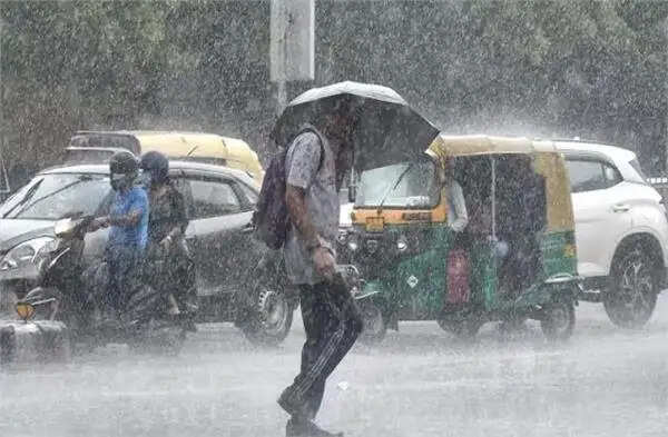HARYANA:- 11 जिलों को भारी बारिस का अलर्ट, जानें आगे कैसा रहेंगा मौसम