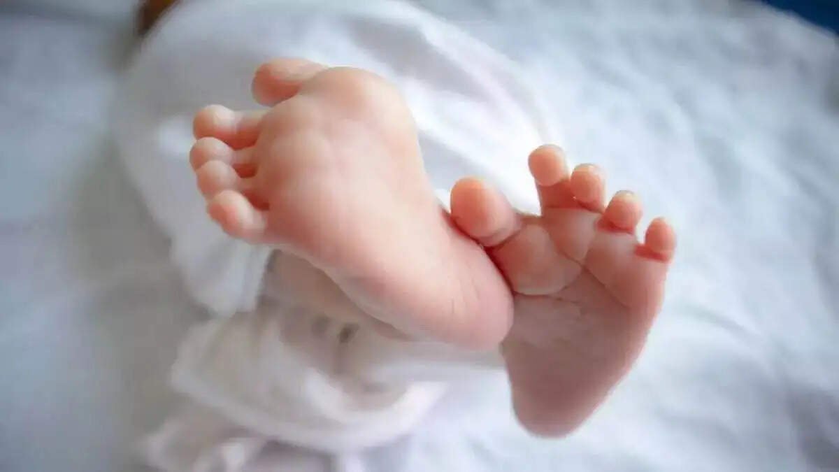 पानीपत में क्या हो रहा है आए दिन, अब फिर मिला नवजात बच्ची का भ्रूण