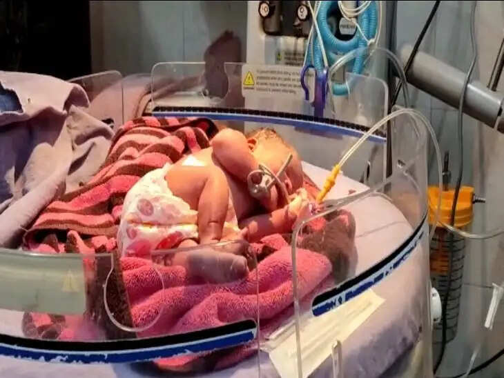 Panipat: सड़क किनारे रोती हुई मिली 2 दिन की बच्ची, कु*त्तो ने भी का*टा हुआ था ! जांच मे जुटी पुलिस