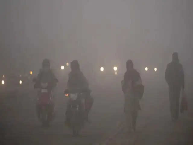 Haryana में घने कोहरे का कहर, IMD ने जारी किया येलो अलर्ट