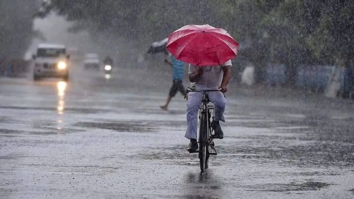 मौसम में बड़ा परिवर्तन, हरियाणा सहित इन राज्‍यों का जानें हाल