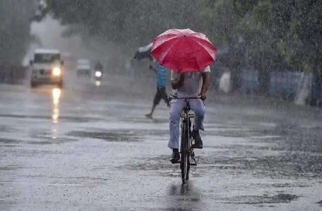 Haryanaके इन 5 जिलों में होगी बारिश, मौसम विभाग ने जारी किया अलर्ट