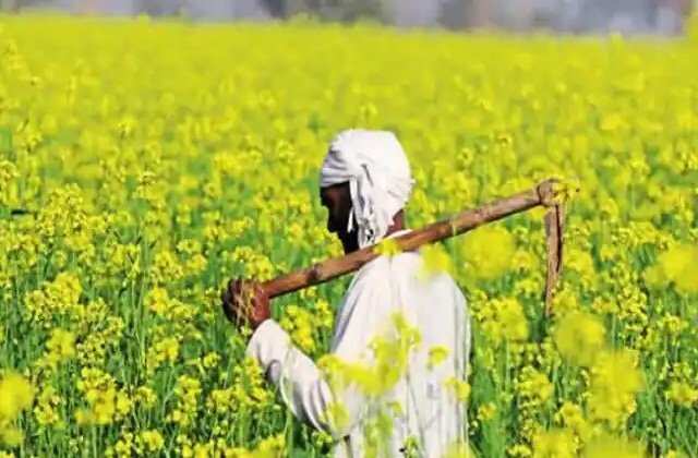 HARYANA:- किसानों के लिए बड़ी खुशखबरी, अब इतने घंटे में होगा फसल का भुगतान