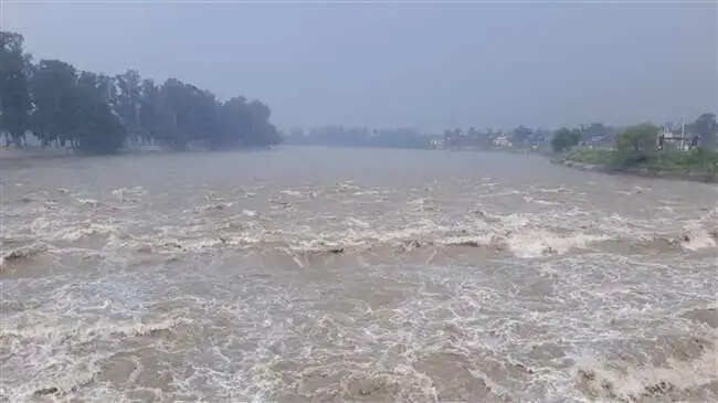 PANIPAT:- यमुना नदी ने मचाई तबाही, 7 गांव डूबे,&nbsp;20 हजार एकड़ फसल बर्बाद