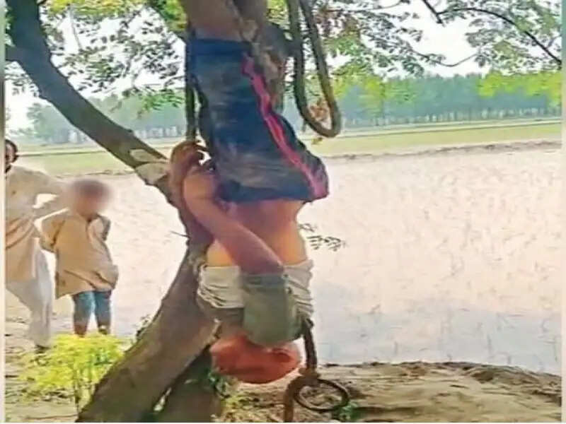 दिल दहलाने वाली वारदात, युवक को पेड़ से लटकाकर घंटो पीटा...वजह हैरान करने वाली