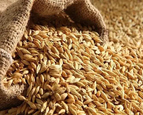 वजन कम करना है, तो डाइट में शामिल करें ये 4 तरह के आटे