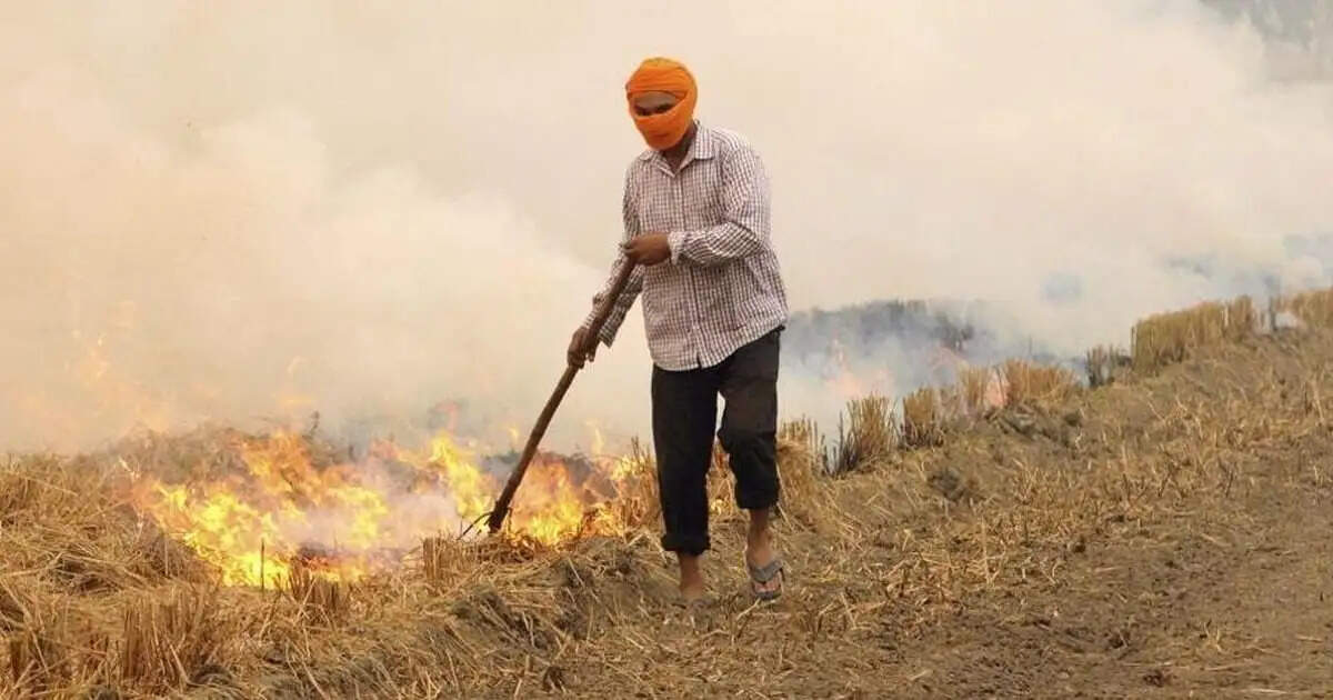 रावण दहन की आड़ में पराली जलाने के मामले आए सामने...वातावरण को खतरा बड़ा