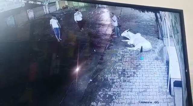 इन 3 बदमाशों पर रखा 50 हज़ार का इनाम, दुकान में घुसकर दो व्यापारियों को मारी थी गोली