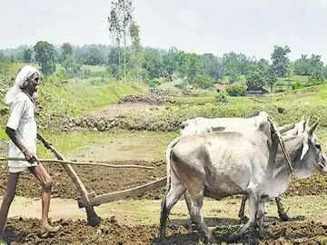 हरियाणा में किसानों के लिए बड़ी खुशखबरी, CM सैनी ने करोड़ों का कर्ज किया माफ