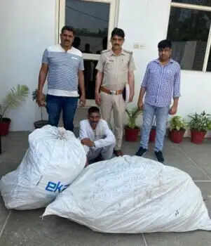 खेत में उगाए थे अफीम के पौधे, आरोपी को 1620 पौधों सहित किया गिरफतार