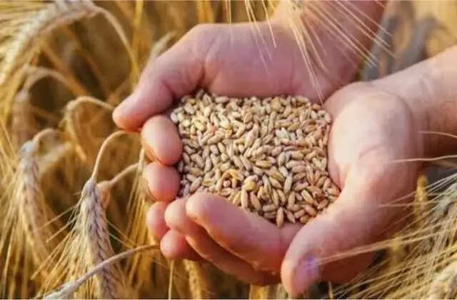 किसानों की हो गई बल्ले- बल्ले, सरकार ने इन 6 फसलो की बढाई MSP