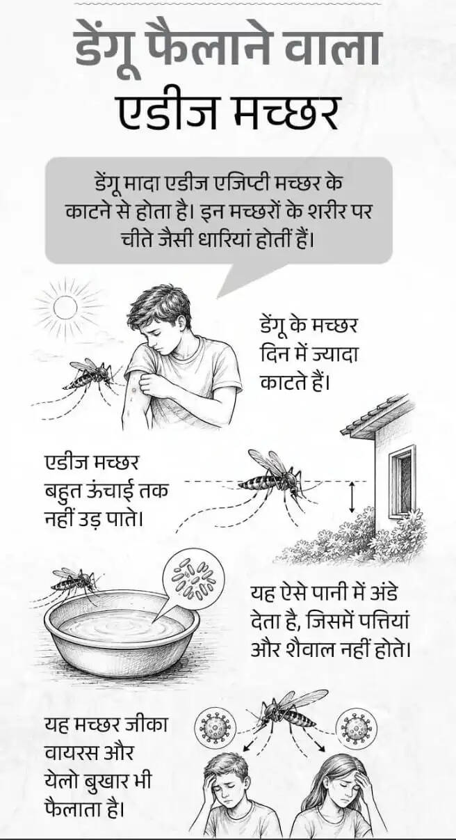 वायरल बिमारी डेंगू का परमनेंट इलाज , जापानी कंपनी की खोज , भारत में उत्पादन होगा