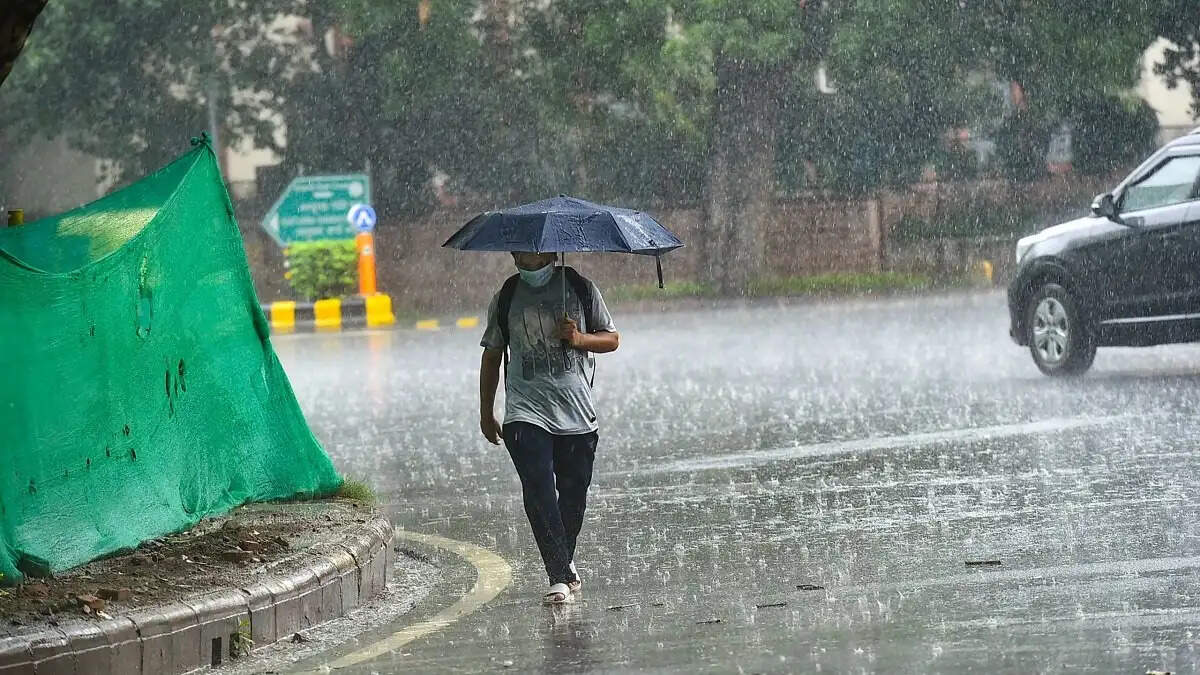 Haryana के 18 जिलों में बारिश- आंधी का अलर्ट