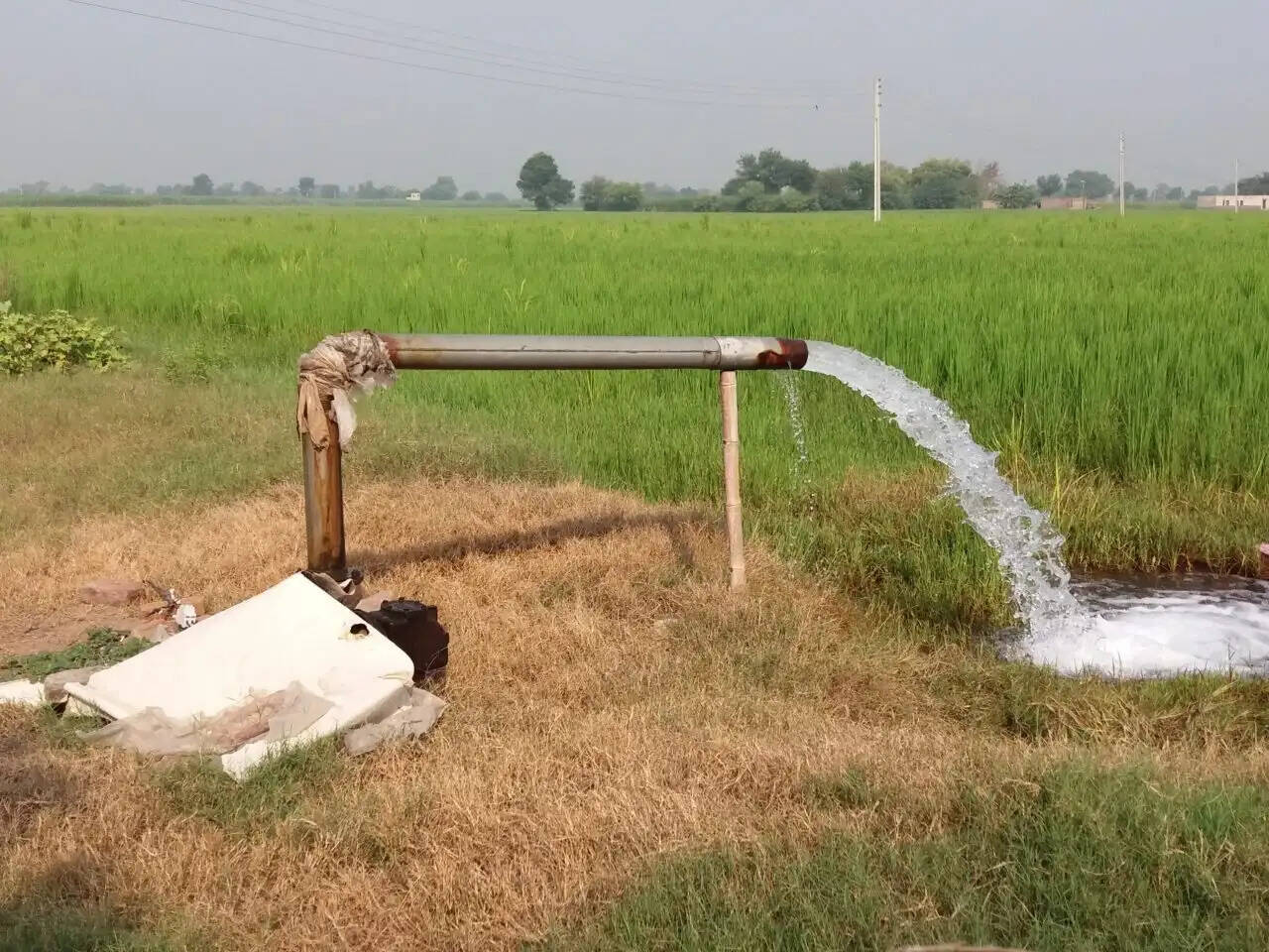 HARYANA के किसानों को जल्द मिलेंगे ट्यूबवेल कनेक्शन, मिलेंगी कई सुविधाएं