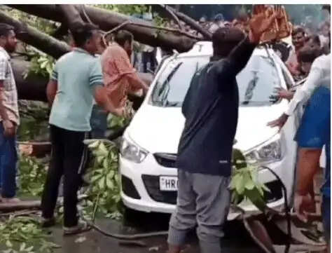 HARYANA:- परिवार जा रहा था घुमने के लिए रिश्तेदारी में, रास्ते में गाड़ी पर अचानक गिरा पेड़