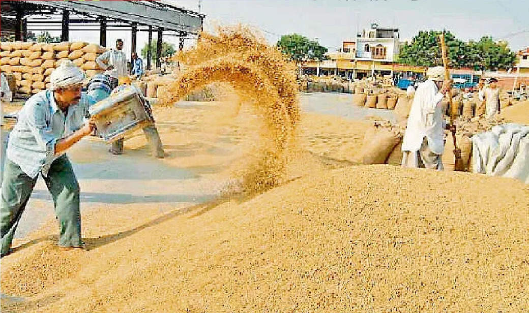 हरियाणा में अब तक&nbsp;577.46&nbsp;लाख क्विंटल धान की हो चुकी है खरीद