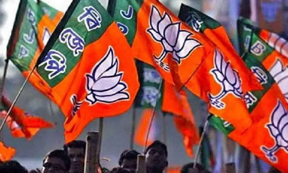 बीजेपी की नई कार्यकारिणी की सूची जारी, इन नेताओ को हटाया गया