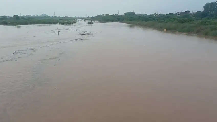 HARYANA:- अधिकारियों-कर्मचारियों की छुटिटयां रद्द , प्रदेश में लगातार हो रही बारिश के चलते लिया फैसला