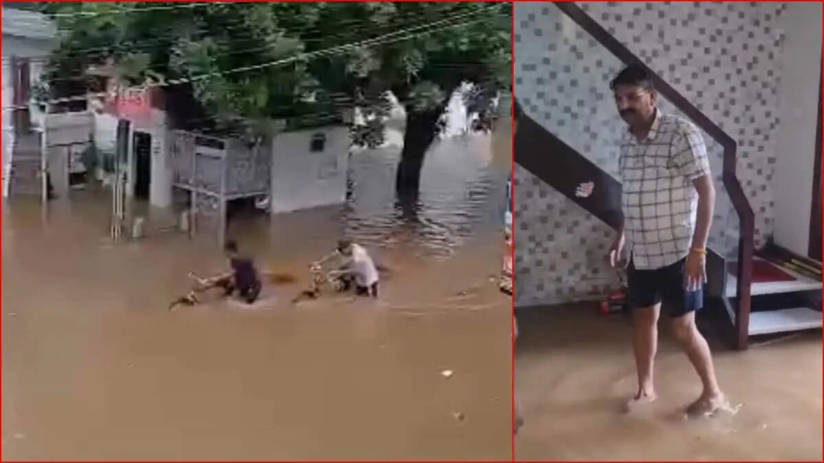 बाढ़ के कारण हरियाणा के इस जिलें में 15 जुलाई तक हुई छुटि्टया, पढ़िए