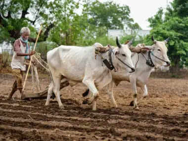 HARYANA के 50 किसान उप राष्ट्रपति के साथ करेंगे भोज
