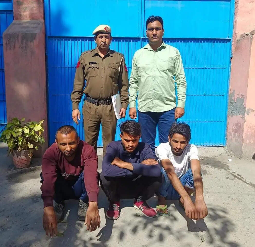 बाइक चोरी के साथ घरों व गौशाला से गाय चोरी करने वाले गिरोह के तीन आरोपी गिरफ्तार; चोरी की चार वारदातों का खुलासा*