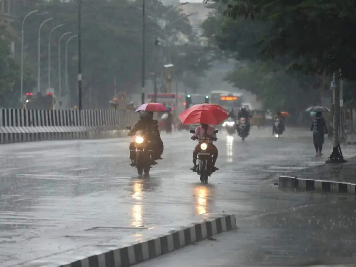 Haryana में फिर एक्टिव होगा मौसम, इन जिलो में Heavy Rain का अलर्ट
