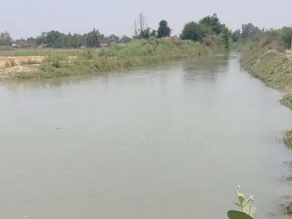 PANIPAT:- टहलने निकला था युवक, नहर में ऐसा क्या देखा कि मौके पर बुलानी पड़ी पुलिस