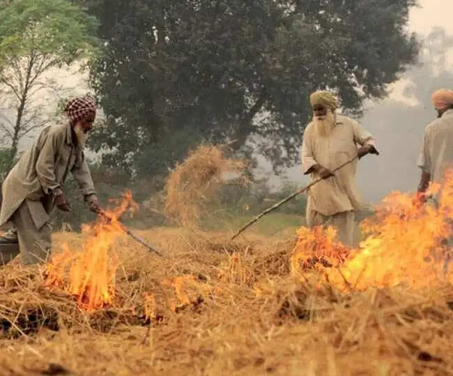 PANIPAT में पराली न जलाने पर किसानों को मिलेगा 1000रुपए इनाम, निर्देश ना मानने पर जेल