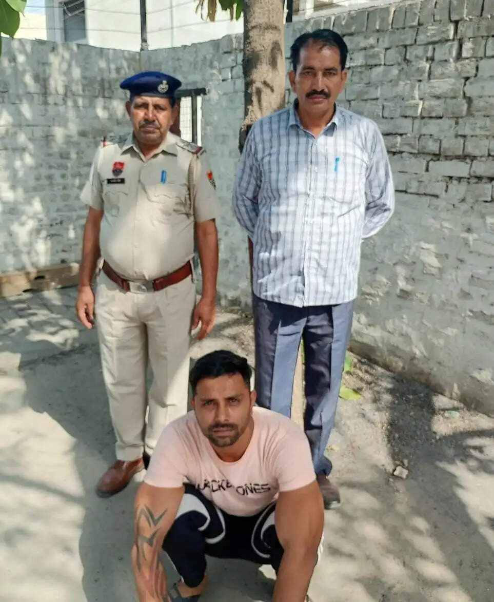 PANIPAT:- पीओ घोषित आरोपी को एंटी नारकोटिक्स सेल पुलिस टीम ने किया गिरफ्तार